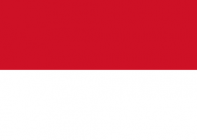 Patient Version SCHFI – Indonesia v7.2
