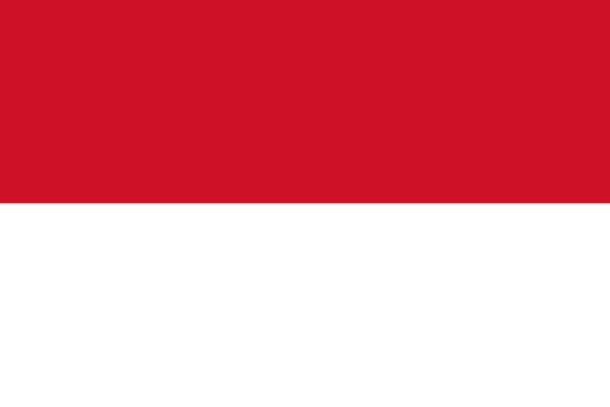 Patient Version SCHFI – Indonesian v6.2