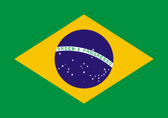 Patient Version SC-HI- Brazil