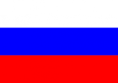 Patient Version SCHFI – Russian v6.2