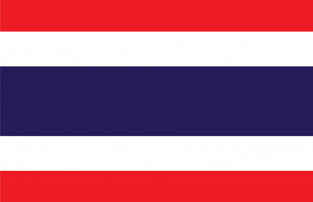 Patient Version SC-CHDI – Thai V3