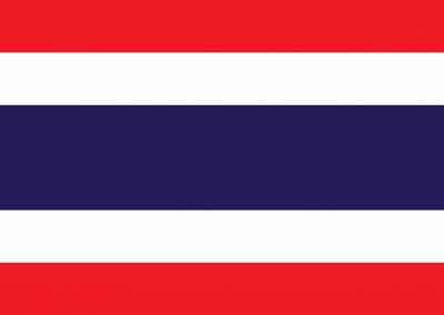 Caregiver Contribution CC-SCHFI – Thai