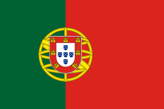 Patient Version SC-CHDI – Portuguese