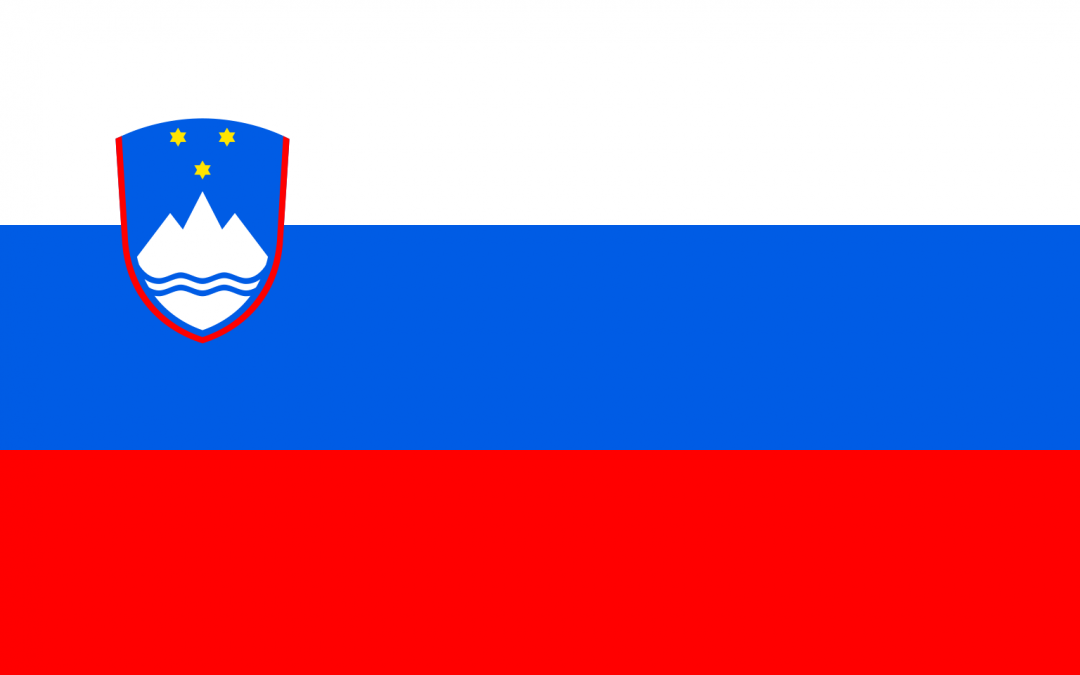 Patient Version SCODI – Slovenian