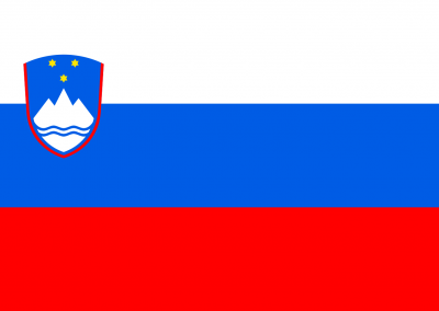 Patient Version SCODI – Slovenian