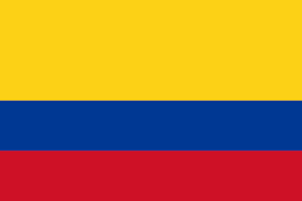Patient Version SCHFI – Colombian Spanish v7.2