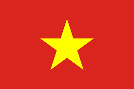 Patient Version SCHFI – Vietnamese v7.2