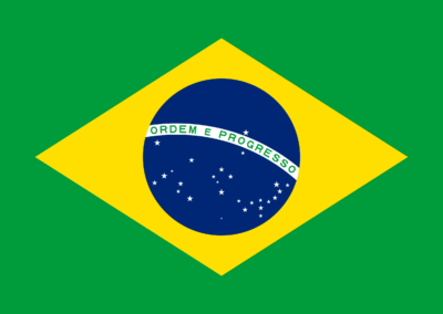 Caregiver Contribution SCHFI – Brazil