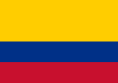 Patient Version SCHFI – Colombian Spanish v7.2