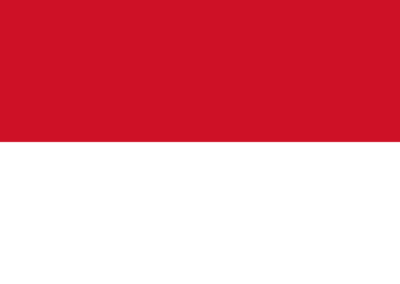 Patient Version SC-SES – Indonesian