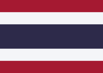 Patient Version SC-CHDI – Thai V3