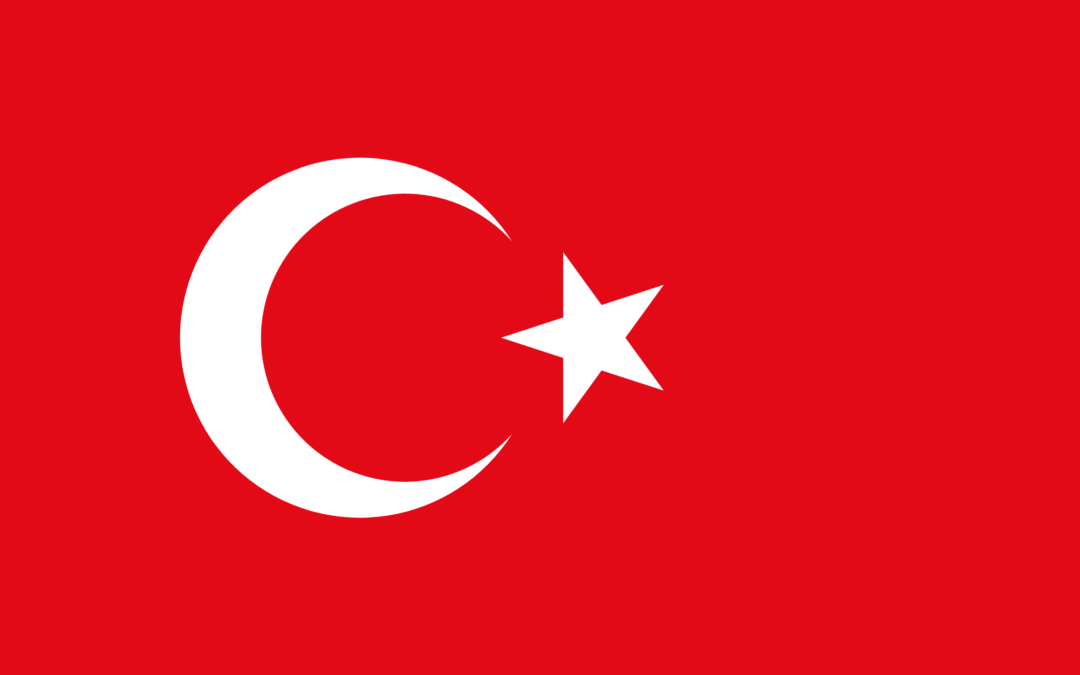 Patient Version SC-CHDI – Turkish V3