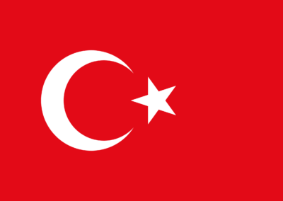 Patient Version SC-CHDI – Turkish V3