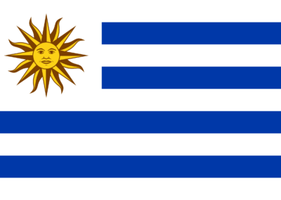 Patient Version SCHFI – Uruguay v6.2