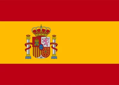 Patient Version SCI – Spanish V1