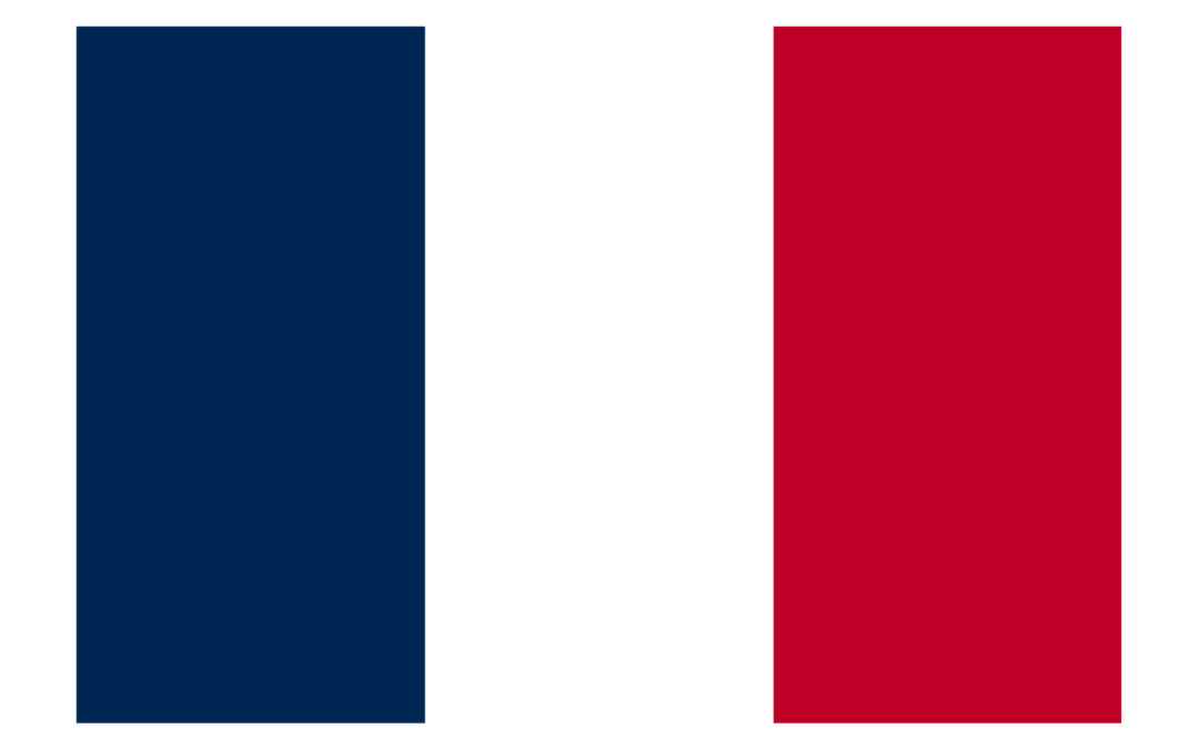 Patient Version SC-COPDI – French