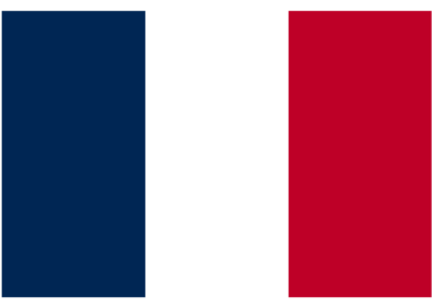Patient Version SC-COPDI – French