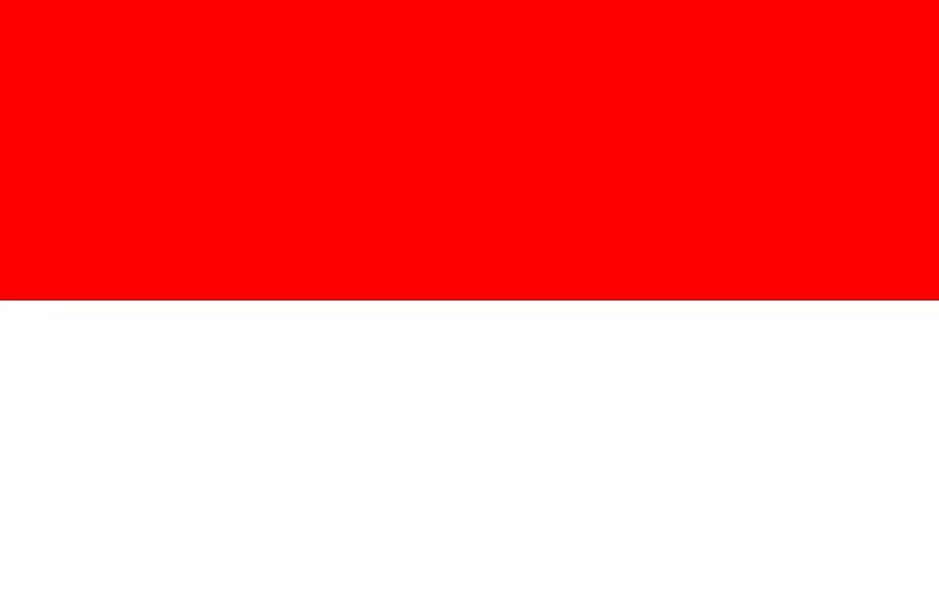 Patient Version SC-HI – Indonesian V3