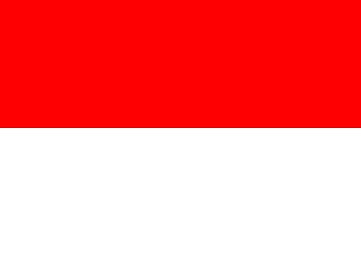 Patient Version SC-HI – Indonesian V3