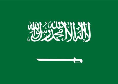 Self-Care of Heart Failure Index Arabic Version 8.0
