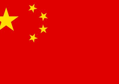 Patient Version SCODI –  Traditional Chinese