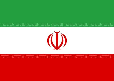 Patient Version SCI – Persian V1