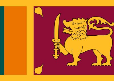 Self-Care of Heart Failure Index  – Version 8.0 – Sinhala